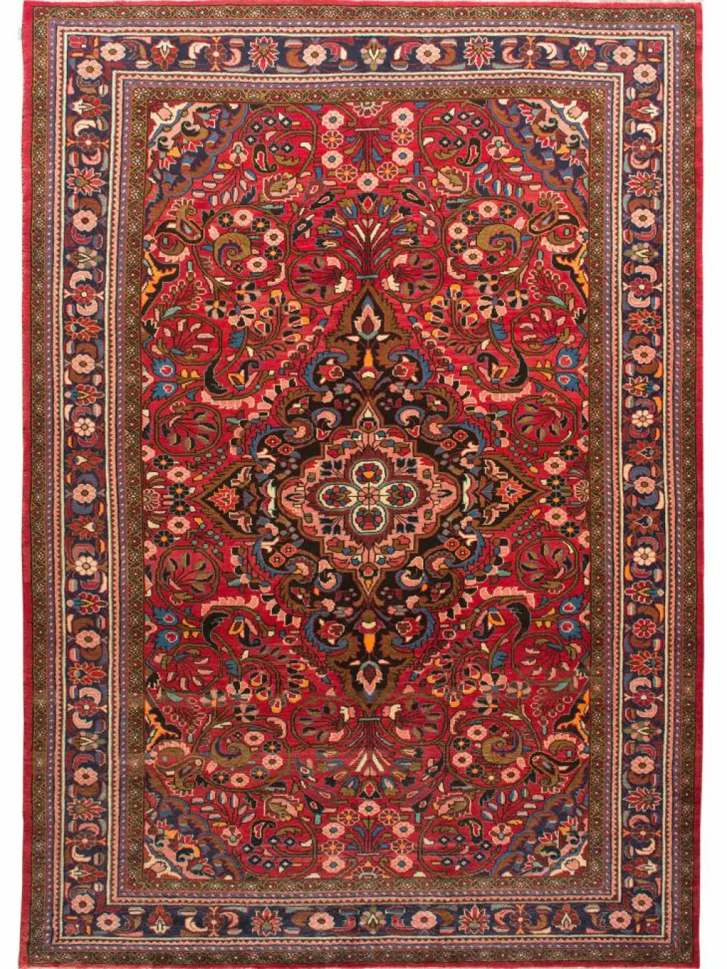 Kabutarahang Hamadan|Kibek Sale