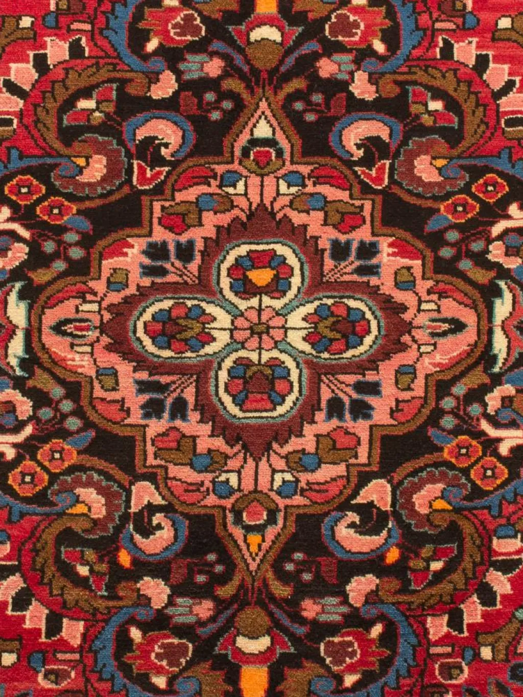 Kabutarahang Hamadan|Kibek Sale