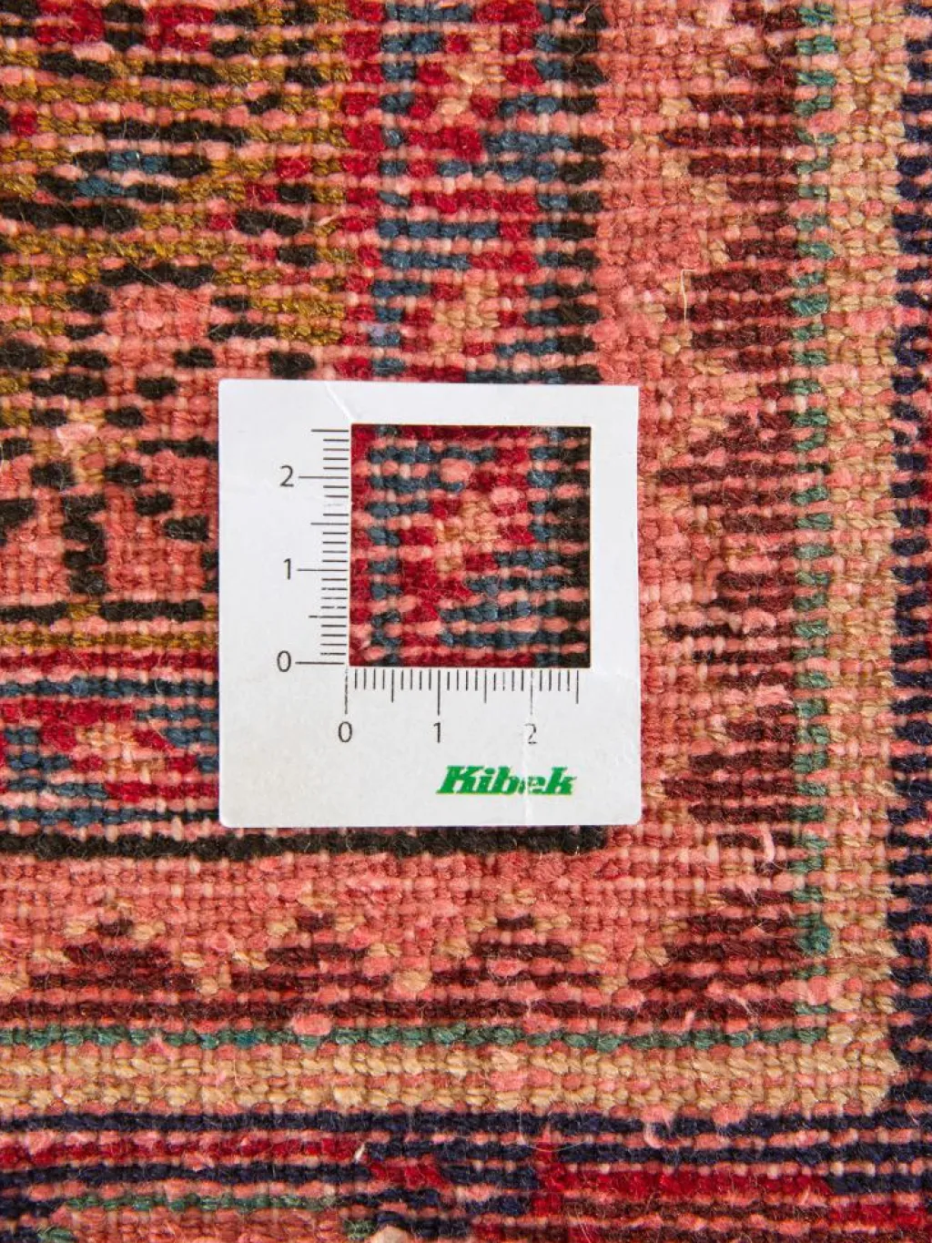 Kabutarahang Hamadan|Kibek Sale