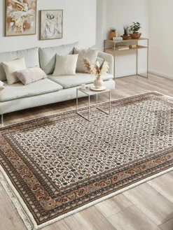 Kanpur Herati|Kibek Online