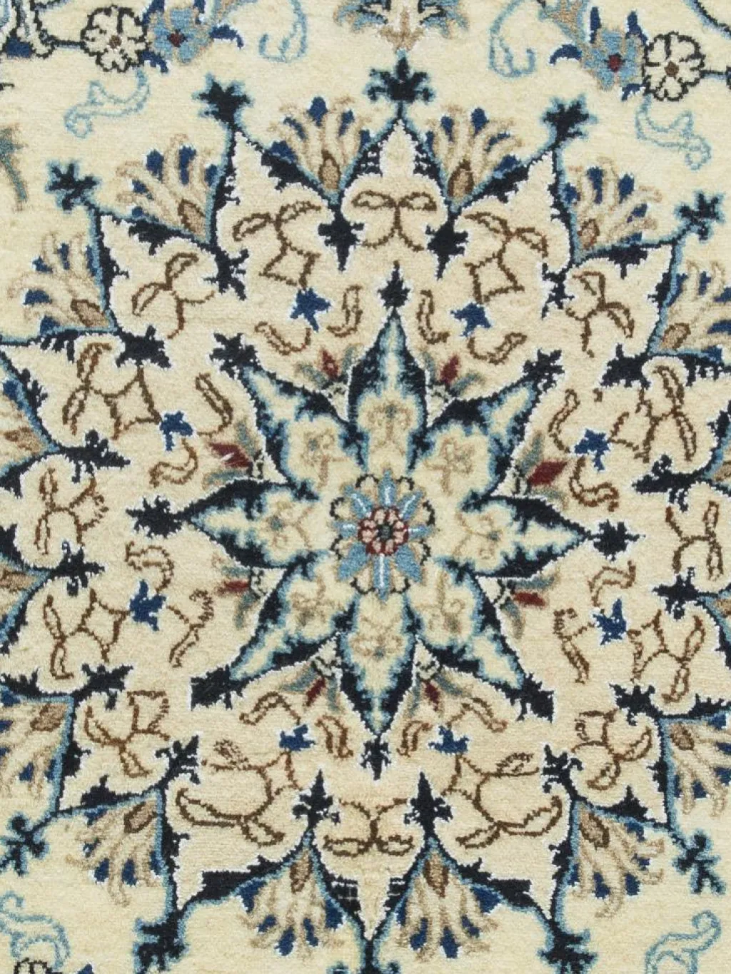 Kaschmar Nain 12 Lah|Kibek Discount