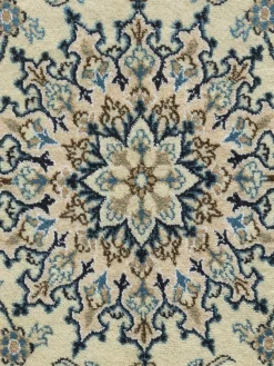 Kaschmar Nain 12 Lah|Kibek Online