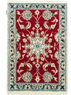 Kaschmar Nain 12 Lah|Kibek Hot