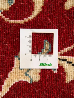 Kaschmar Nain 12 Lah|Kibek Hot