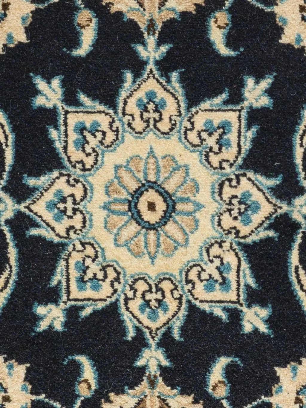 Kaschmar Nain 12 Lah|Kibek Hot