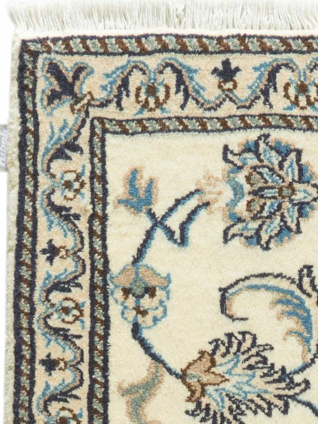 Kaschmar Nain 12 Lah|Kibek New