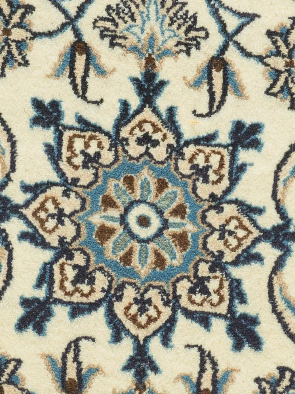 Kaschmar Nain 12 Lah|Kibek New