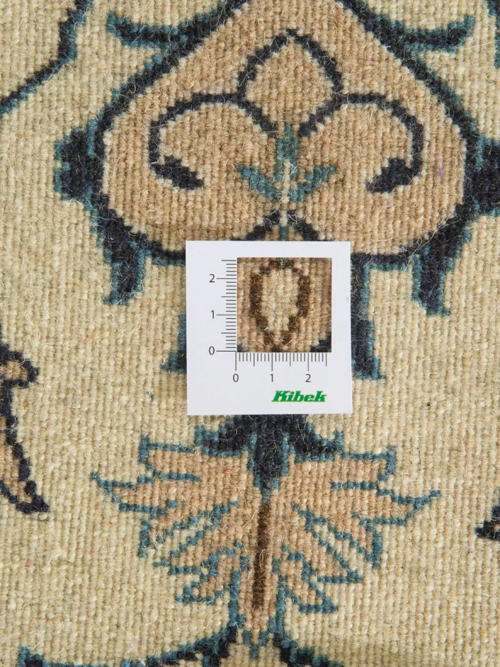 Kaschmar Nain 12 Lah|Kibek New