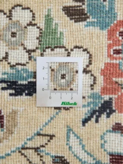 Kaschmar Nain 12 Lah|Kibek Hot