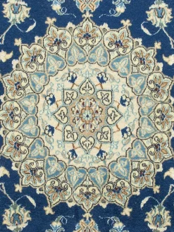 Kaschmar Nain 12 Lah|Kibek Best