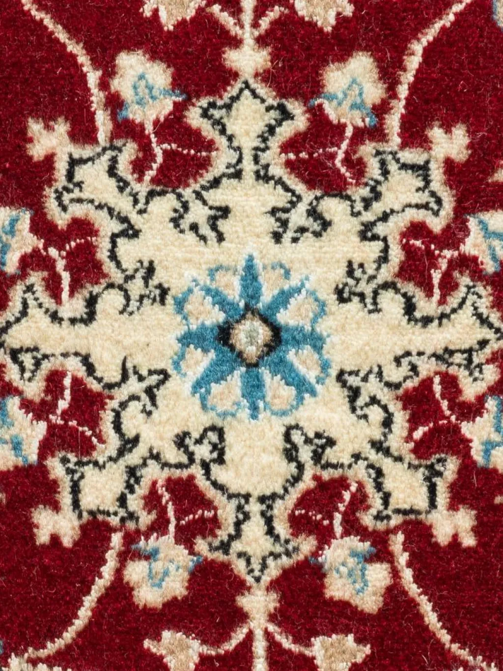 Kaschmar Nain 12 Lah|Kibek Hot