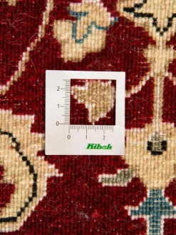 Kaschmar Nain 12 Lah|Kibek Hot