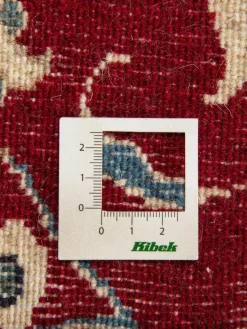 Kaschmar Nain 12 Lah|Kibek Hot