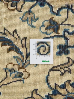 Kaschmar Nain 12 Lah|Kibek Clearance