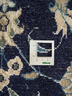 Kaschmar Nain 12 Lah|Kibek Online