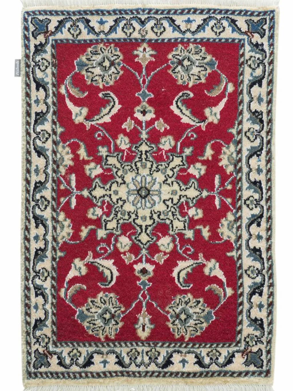 Kaschmar Nain 12 Lah|Kibek New