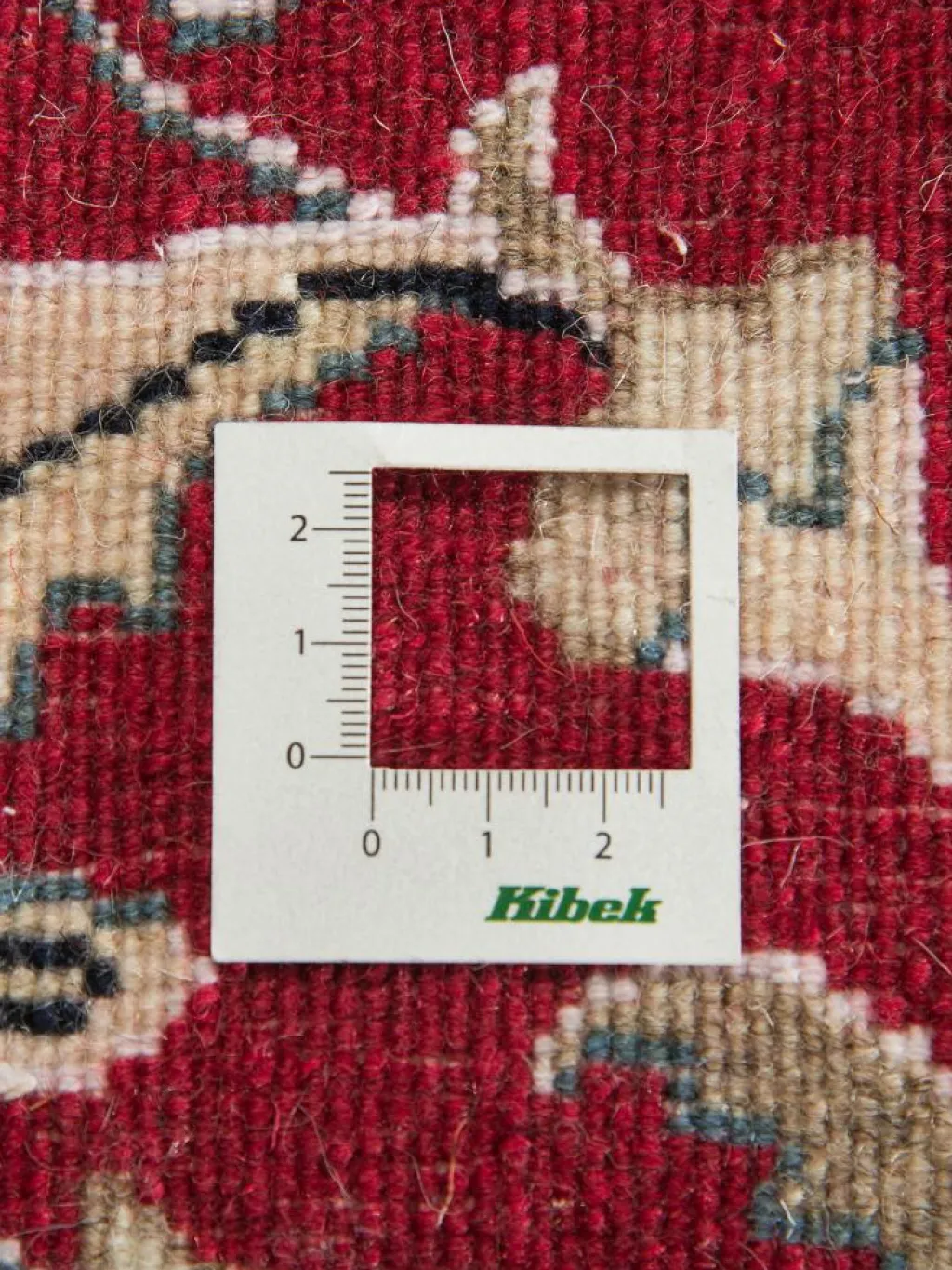 Kaschmar Nain 12 Lah|Kibek New