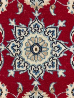 Kaschmar Nain 12 Lah|Kibek Discount