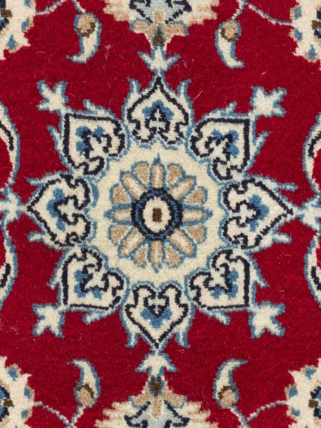 Kaschmar Nain 12 Lah|Kibek Discount