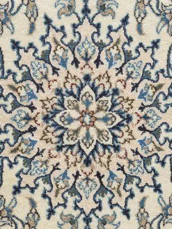 Kaschmar Nain 12 Lah|Kibek Sale