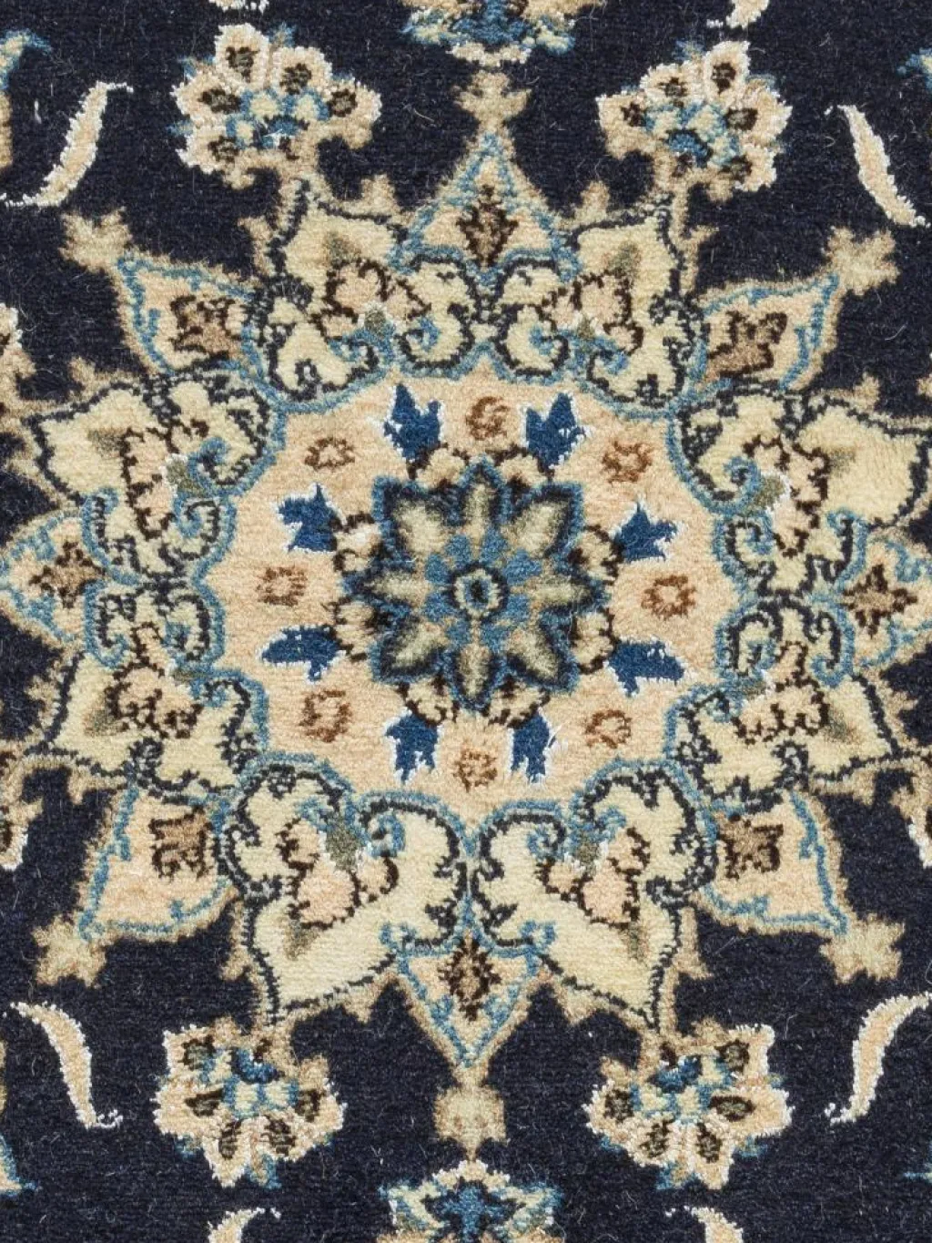 Kaschmar Nain 12 Lah|Kibek Discount