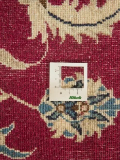 Kaschmar Nain 12 Lah|Kibek Hot