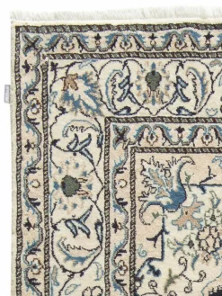 Kaschmar Nain 12 Lah|Kibek Clearance