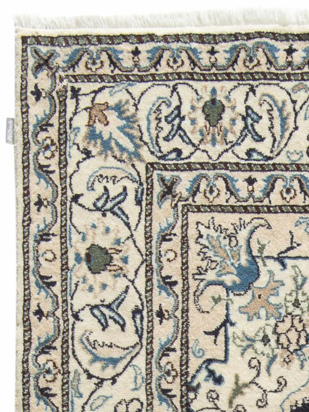 Kaschmar Nain 12 Lah|Kibek Clearance