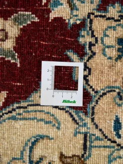 Kaschmar Nain 12 Lah|Kibek Online