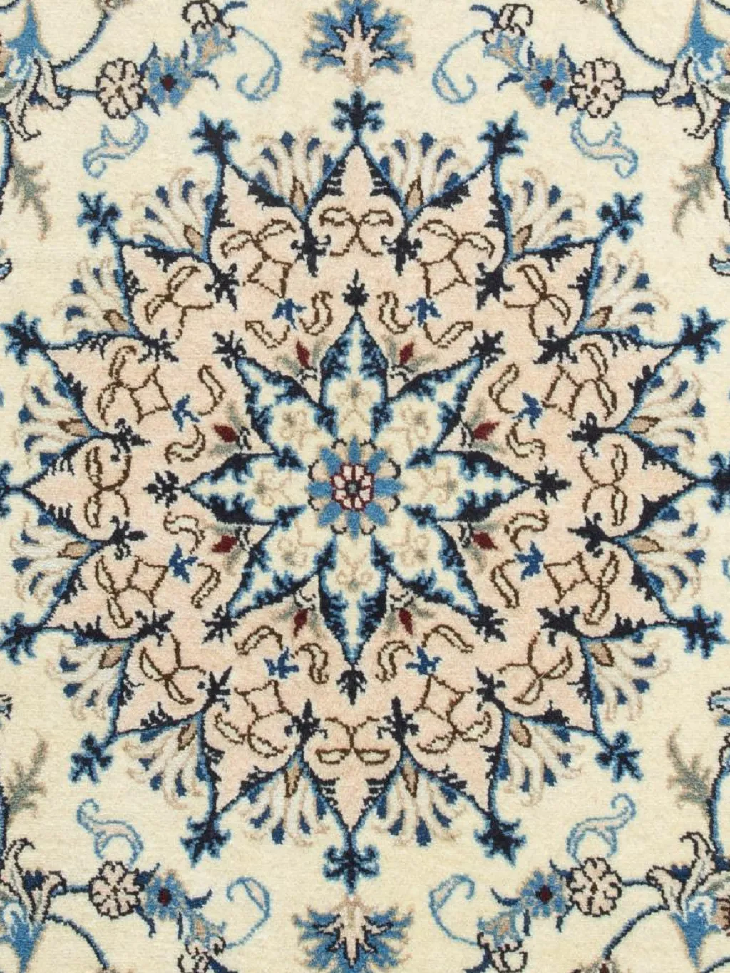 Kaschmar Nain 12 Lah|Kibek Outlet