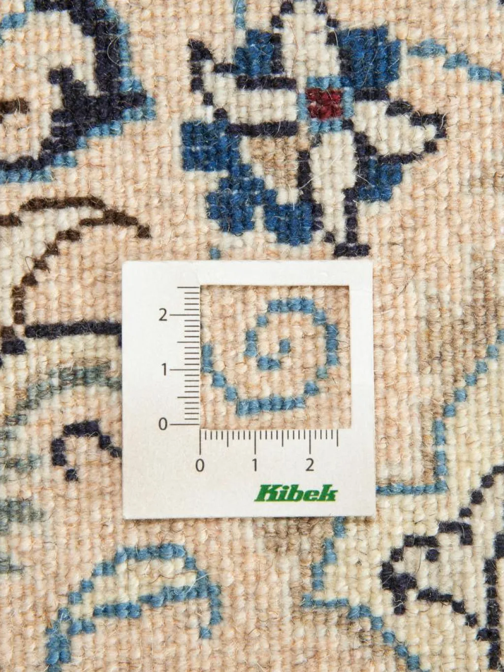 Kaschmar Nain 12 Lah|Kibek Outlet