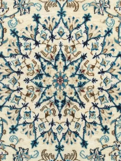 Kaschmar Nain 12 Lah|Kibek Discount