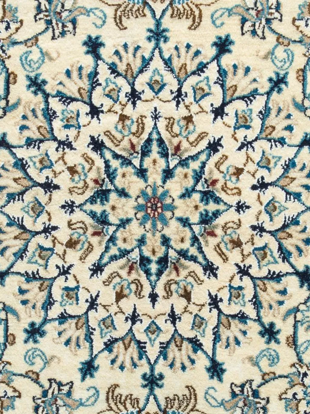 Kaschmar Nain 12 Lah|Kibek Discount