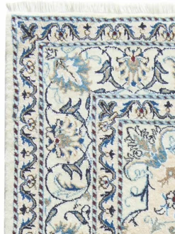 Kaschmar Nain 12 Lah|Kibek Clearance