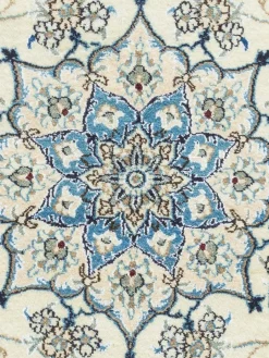 Kaschmar Nain 12 Lah|Kibek Clearance