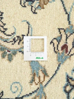 Kaschmar Nain 12 Lah|Kibek Best