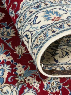 Kaschmar Nain 12 Lah|Kibek Online