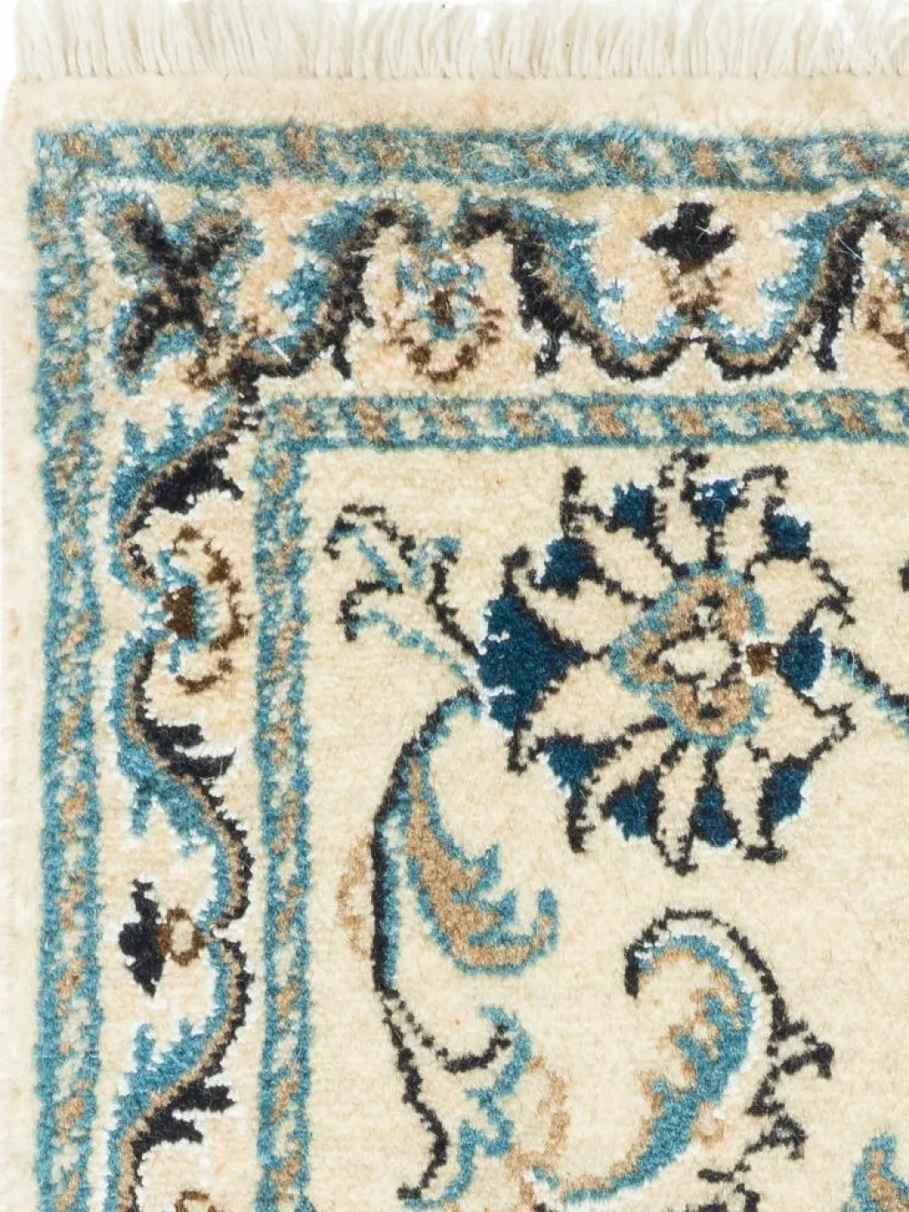 Kaschmar Nain 12 Lah|Kibek Online