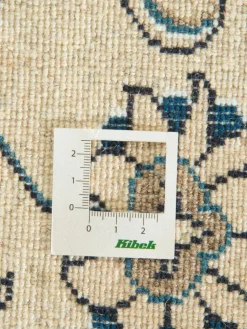 Kaschmar Nain 12 Lah|Kibek Online