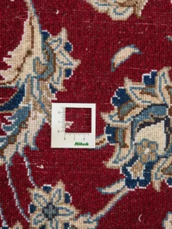 Kaschmar Nain 12 Lah|Kibek Sale