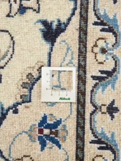 Kaschmar Nain 12 Lah|Kibek Best