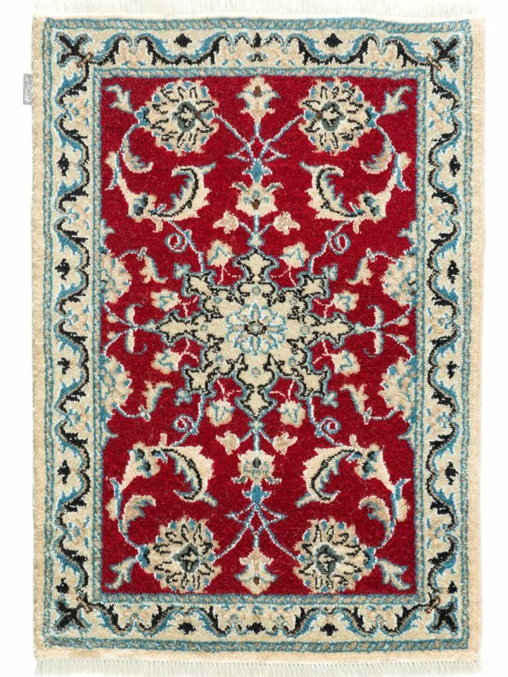 Kaschmar Nain 12 Lah|Kibek New