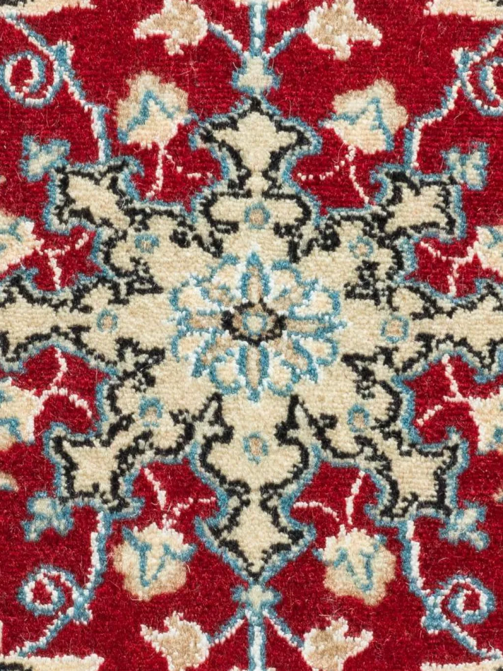 Kaschmar Nain 12 Lah|Kibek New