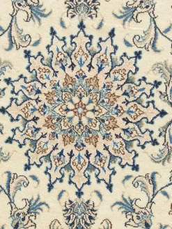 Kaschmar Nain 12 Lah|Kibek Online