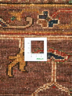 Kazak Ghazni|Kibek Online