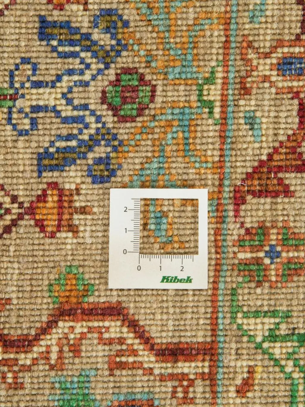 Kazak Ghazni|Kibek New