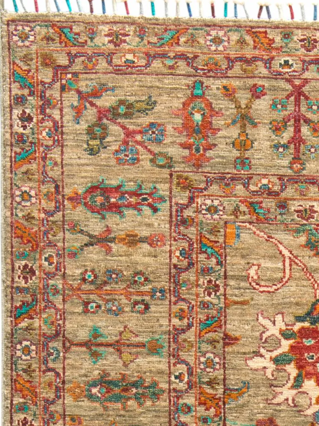 Kazak Phool|Kibek New