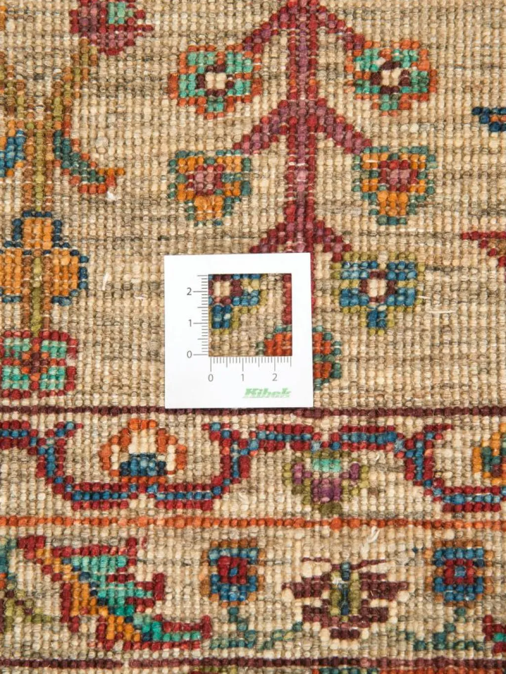 Kazak Phool|Kibek New