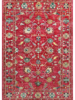 Kazak Phool|Kibek Clearance