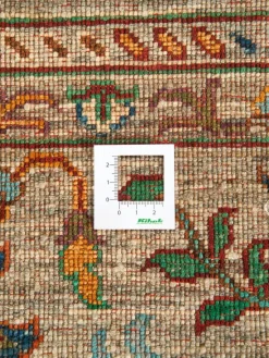 Kazak Phool|Kibek New